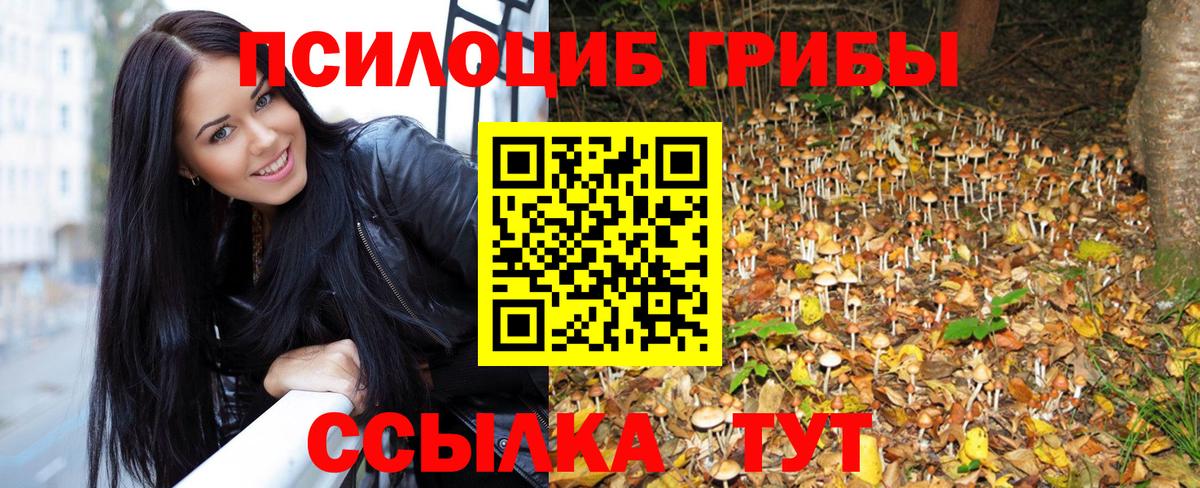 Галлюциногенные грибы Cubensis  купить закладку  Кингисепп  Вход с VPN 